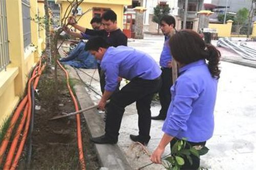VKSND huyện Thái Thụy xây dựng cảnh quan môi trường ngày càng xanh, sạch, đẹp