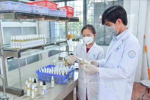 Không để xảy ra tình trạng dịch chồng dịch