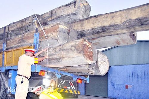 Bắt xe chở gỗ quá tải