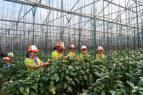 Tiếp tục hành trình xây dựng thương hiệu Đà Lạt