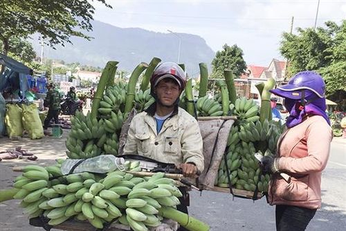 Quản lý nhãn hiệu sau khi được công nhận