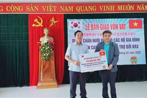 Bàn giao vốn cho 45 hộ nông dân nghèo phát triển chăn nuôi bò