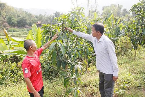 Nguồn quỹ giúp nông dân phát triển kinh tế