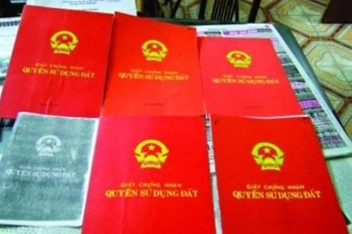 Nhờ người khác đứng tên trên 'Sổ đỏ': Chớ 'gửi trứng cho ác'