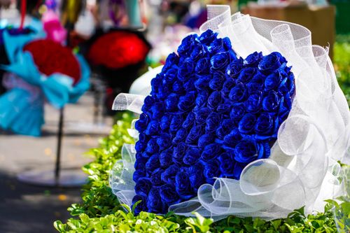 Đội nắng 33 độ bán hoa Valentine trên đường giữa dịch corona