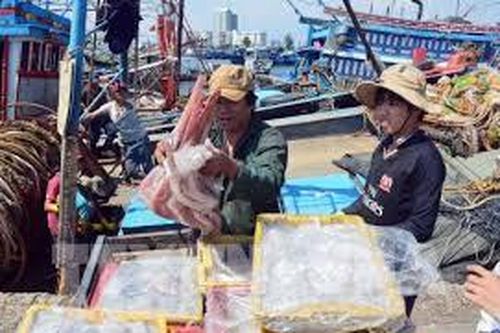 Nếu Quảng Ngãi không nỗ lực, thủy sản khó gỡ thẻ vàng của EC