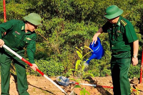 Hưởng ứng Tết trồng cây đời đời nhớ ơn Bác Hồ