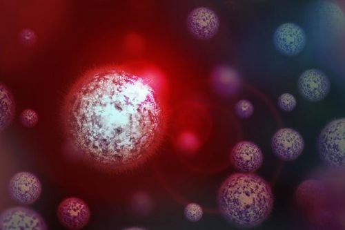 Phát hiện chủng virus bí ẩn mới ở Brazil