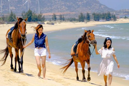 Trải nghiệm cung đường ven biển Ninh Thuận đẹp nhất Việt Nam
