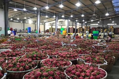 Xuất khẩu sang Trung Quốc sẽ ngày càng khó?