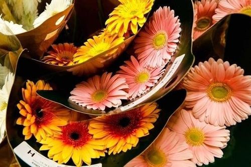Chợ bán buôn hoa ở Chicago bận rộn trước ngày lễ Valentine