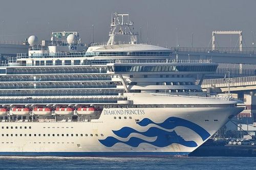 8 người nhiễm virus corona trên du thuyền Diamond Princess nguy kịch