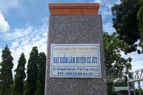 Hạt trưởng kiểm lâm đi làm nhậu 2 'tăng', đấm cấp dưới ngất xỉu