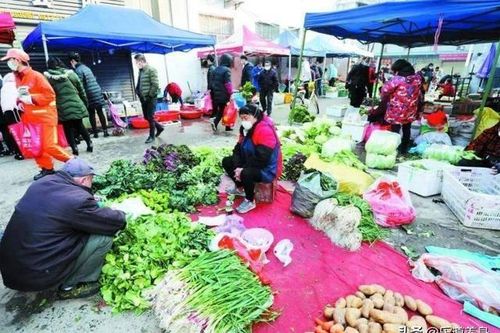 Nhiều khu chợ tại 'tâm dịch' Vũ Hán mở cửa trở lại
