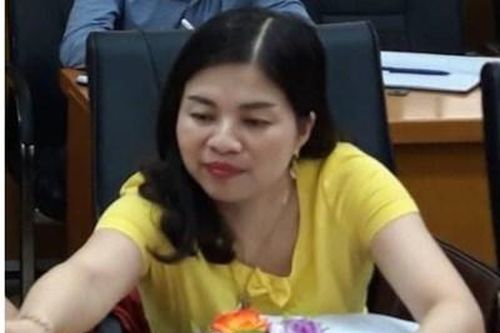 Chế tài với Tội vi phạm các quy định về quản lý đất đai?
