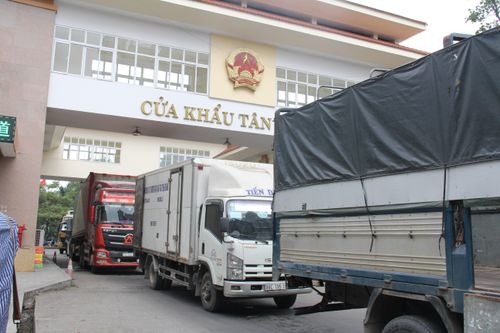 Khuyến cáo doanh nghiệp sớm chuyển đổi sang xuất khẩu chính ngạch