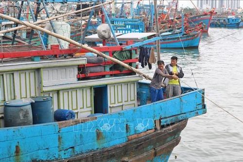 Ngư dân Khánh Hòa tấp nập vươn khơi