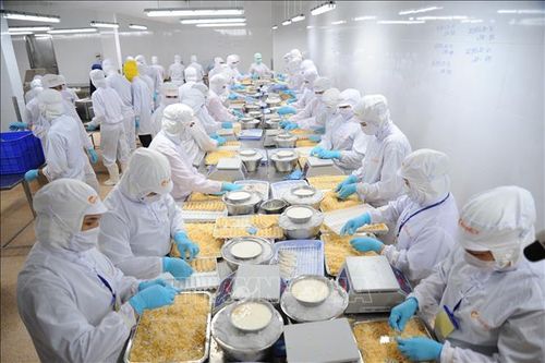 Ngành thủy sản xây dựng nhiều kịch bản ứng phó dịch COVID-19