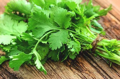 Không muốn rước bệnh vào người những người bị bệnh sau tuyệt đối không ăn rau mùi