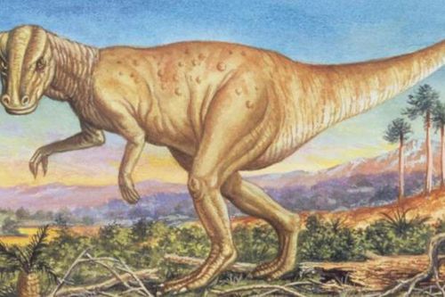 Phát hiện dấu tích bệnh ung thư hiếm gặp trong hóa thạch khủng long 66 triệu năm