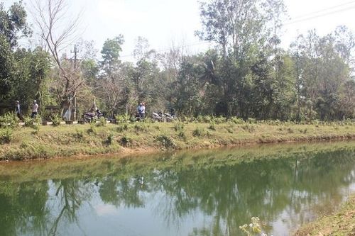 Câu cá dưới đường dây điện, nam thanh niên bị giật tử vong thương tâm