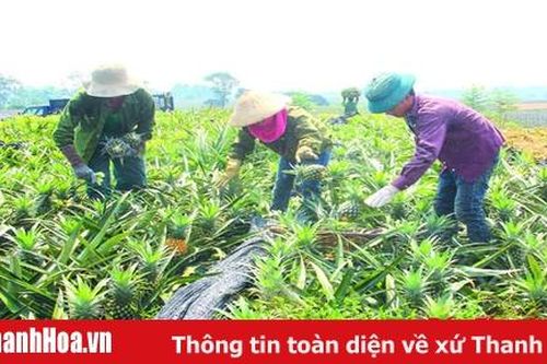 Tập trung thực hiện các giải pháp tăng trưởng ngành nông nghiệp