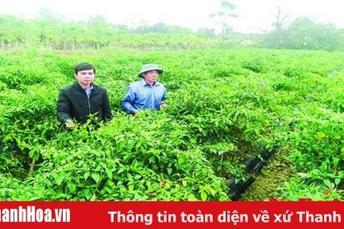 Đảng bộ huyện Hậu Lộc chú trọng công tác xây dựng Đảng