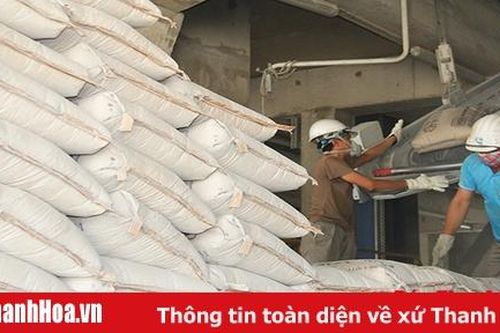 Công ty CP Xi măng Bỉm Sơn nỗ lực nâng cao chất lượng sản phẩm