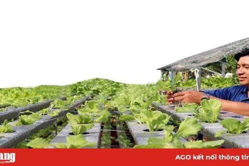 Nông dân tâm huyết với trồng trọt hữu cơ
