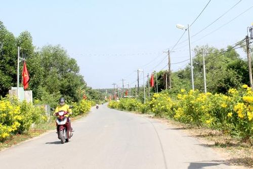 Tái cơ cấu nông nghiệp gắn với xây dựng nông thôn mới nâng cao