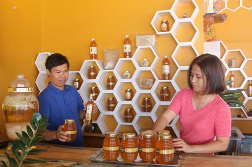 Đinh Lạc: Nghề nuôi ong phát triển