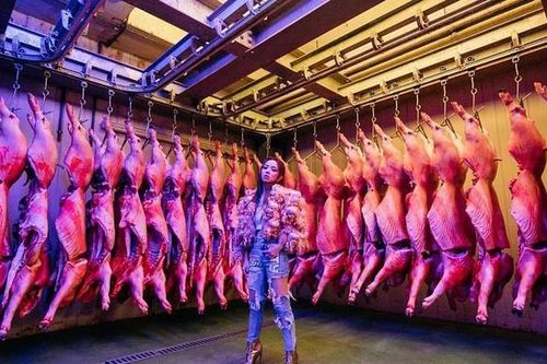 Nữ ca sĩ gây tranh cãi vì quay MV trong lò mổ heo