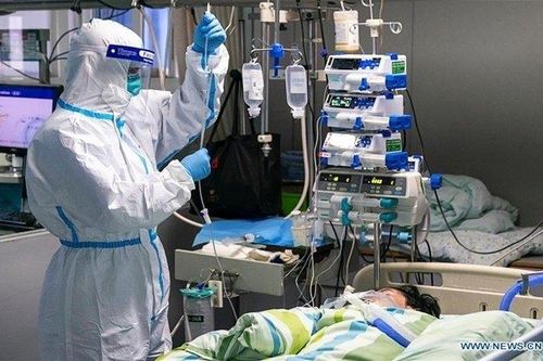66.887 ca mắc Covid-19 trên thế giới, Ai Cập ghi nhận ca đầu tiên