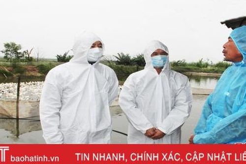 Ráo riết tiêm vắc-xin phòng cúm A/H5N1 cho hơn 9 triệu con gia cầm Hà Tĩnh