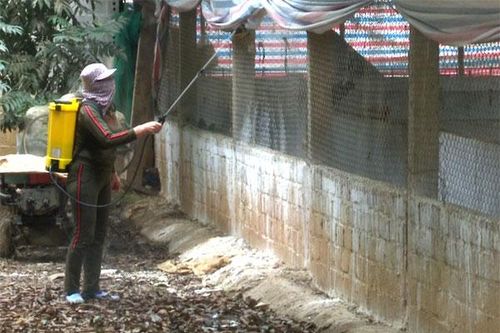 Người chăn nuôi chủ động phòng dịch cúm gia cầm