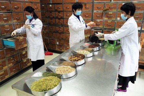 Thử nghiệm thuốc cổ truyền 3.000 năm cho bệnh nhân Covid-19