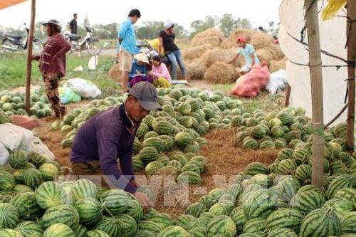 Dịch do virus Corona và tác động kinh tế- Bài 2: Biến thách thức thành thời cơ