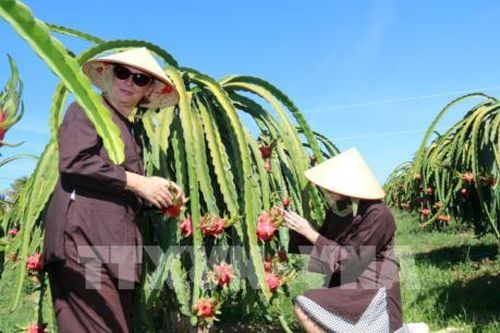 Phát triển nguồn nhân lực ngành du lịch:Bài cuối:Trang bị kỹ năng làm du lịch cho nông dân