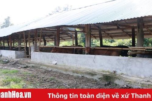 'Chìa khóa' để thực hiện thành công chuyển dịch cơ cấu kinh tế nông nghiệp tại huyện Như Xuân