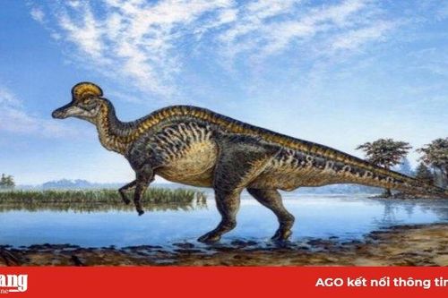Phát hiện bệnh hiếm ở trẻ em trong khối u khủng long hóa thạch