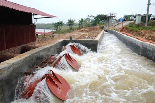 Tổng cục Thủy lợi đề nghị Hà Nội tập trung hoàn thành lấy nước vụ Xuân 2020