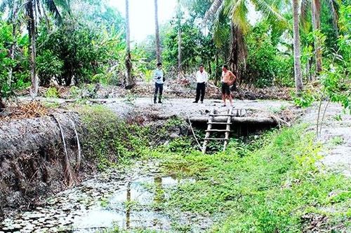Dân vùng ngọt Cà Mau 'khát' nước ngọt