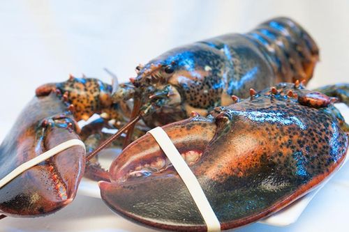 'Giải cứu' tôm hùm Alaska, cua hoàng đế... giá vẫn chát?