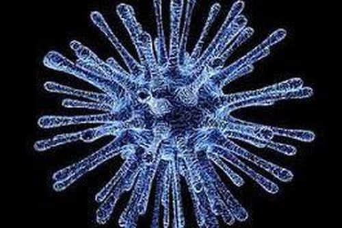 Dịch virus corona: Thanh Hóa hết ca nghi nhiễm, Khánh Hòa đủ điều kiện công bố hết dịch, bé 3 tháng tuổi sẽ sớm được ra viện
