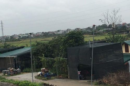 Hoài Đức, Hà Nội: Đề nghị kiểm điểm lãnh đạo xã buông lỏng quản lý đất đai