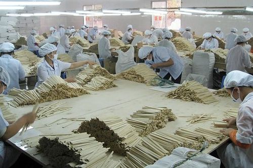 Hơn 1.000 lao động lĩnh vực dịch vụ phải nghỉ việc do ảnh hưởng virus Covid-19