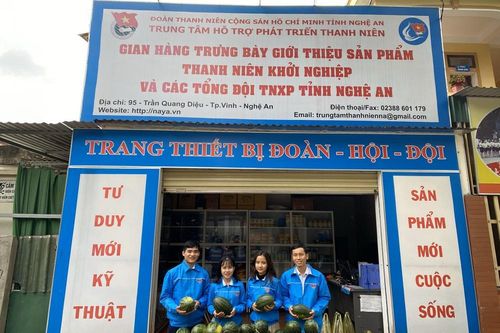 Tuổi trẻ Nghệ An chung tay 'giải cứu' hàng chục tấn dưa hấu