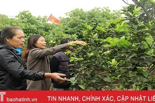 Nữ trưởng thôn góp công biến 'điểm nóng' thành khu dân cư kiểu mẫu ở xã miền biển Hà Tĩnh
