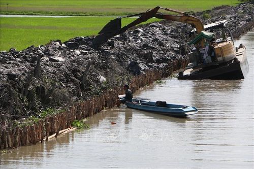 Nước mặn xâm nhập sớm ở Hậu Giang - Bài cuối: Chủ động ứng phó