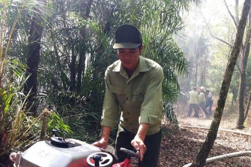 Cảnh báo cháy rừng Vườn chim Bạc Liêu cấp cực kỳ nguy hiểm